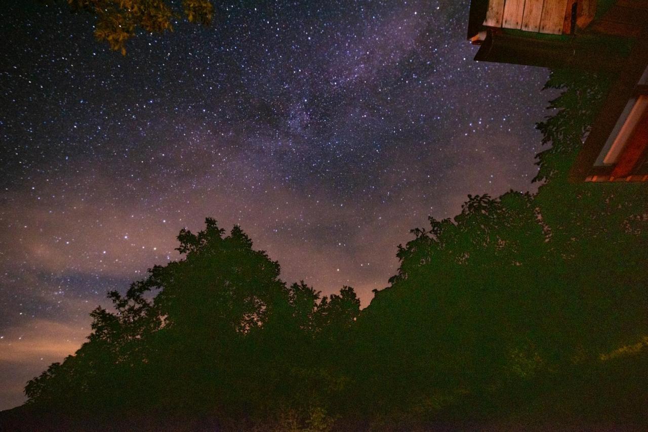 Miha Lodge - Mihcevo Plece Soča Zewnętrze zdjęcie